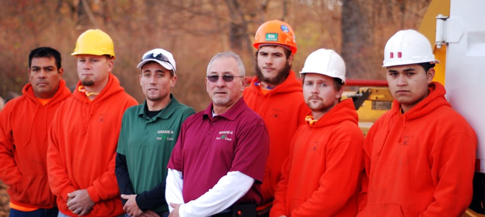 Grade A Tree project photo