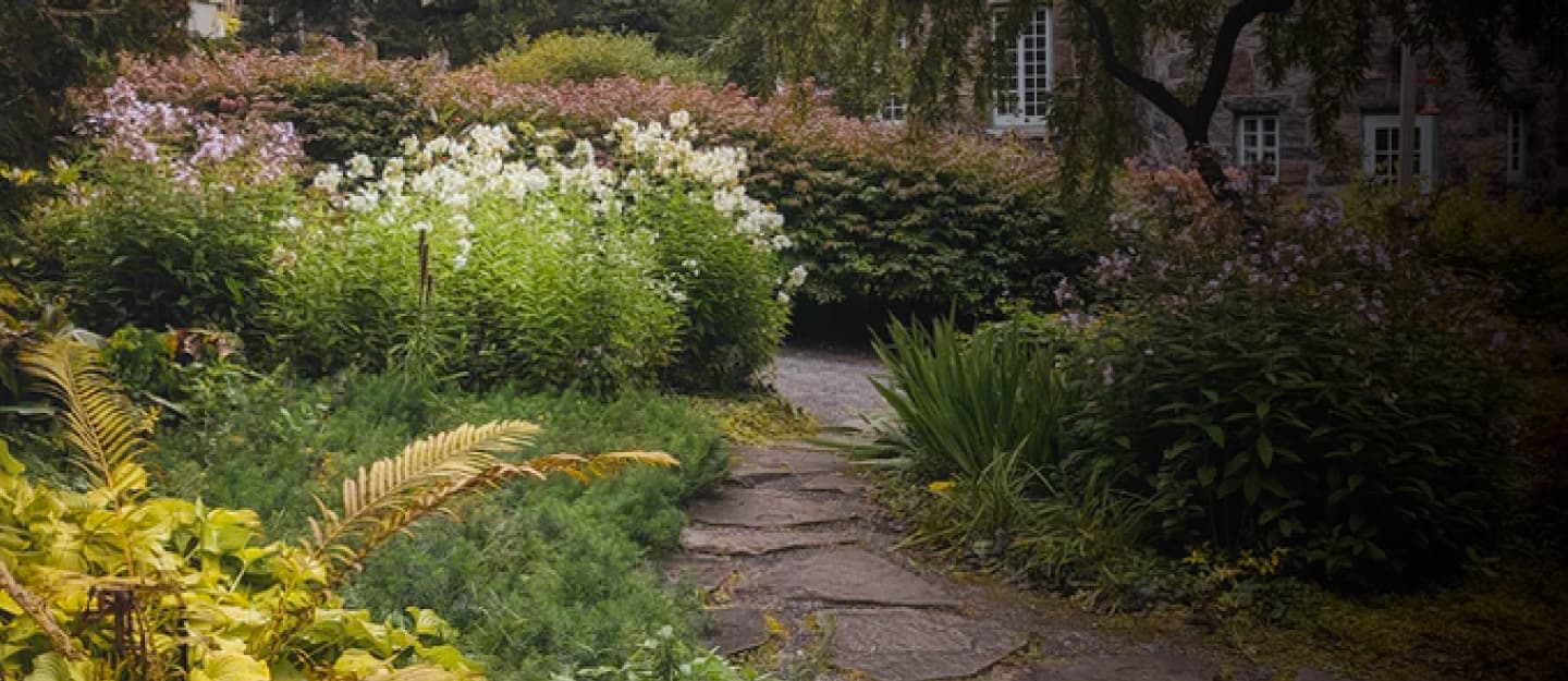 Grade A Tree project photo