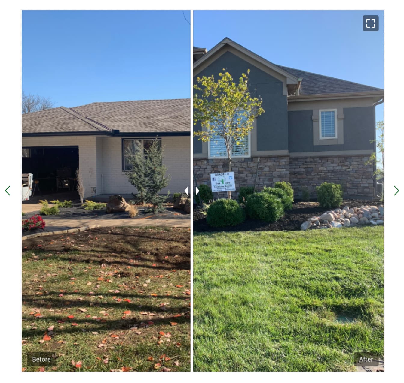 Grade A Tree project photo