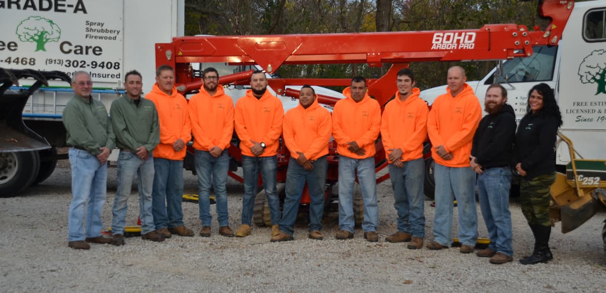 Grade A Tree crew