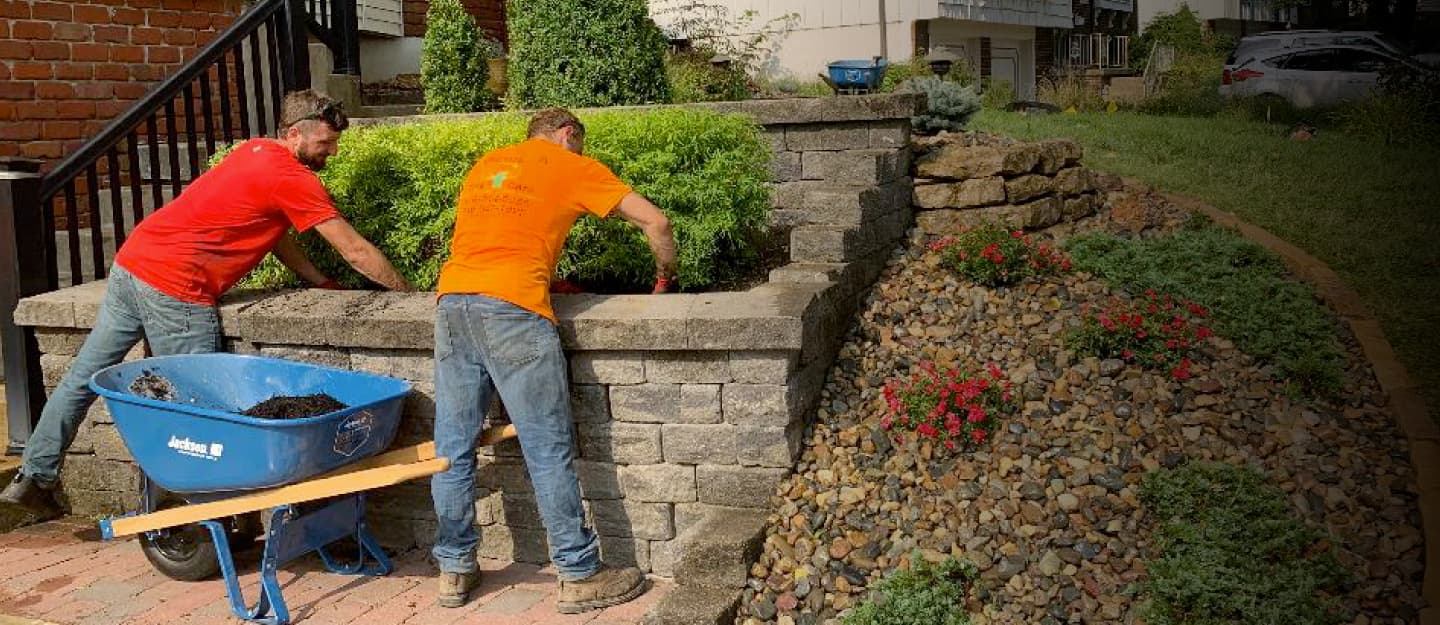 Tree services in Raymore, MO