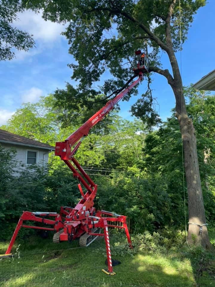 Tree Trimming & Pruning project