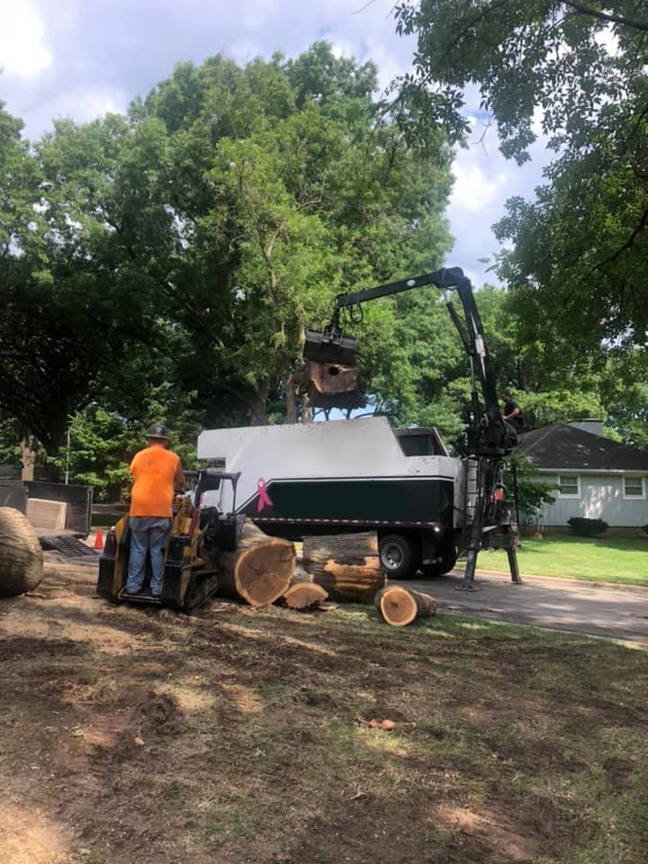 Tree Removal project