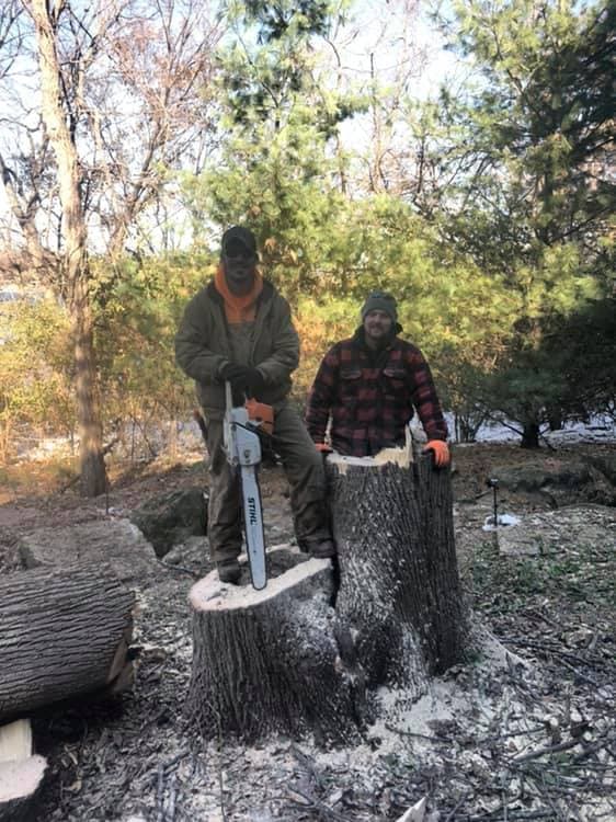 Stump Grinding & Removal project