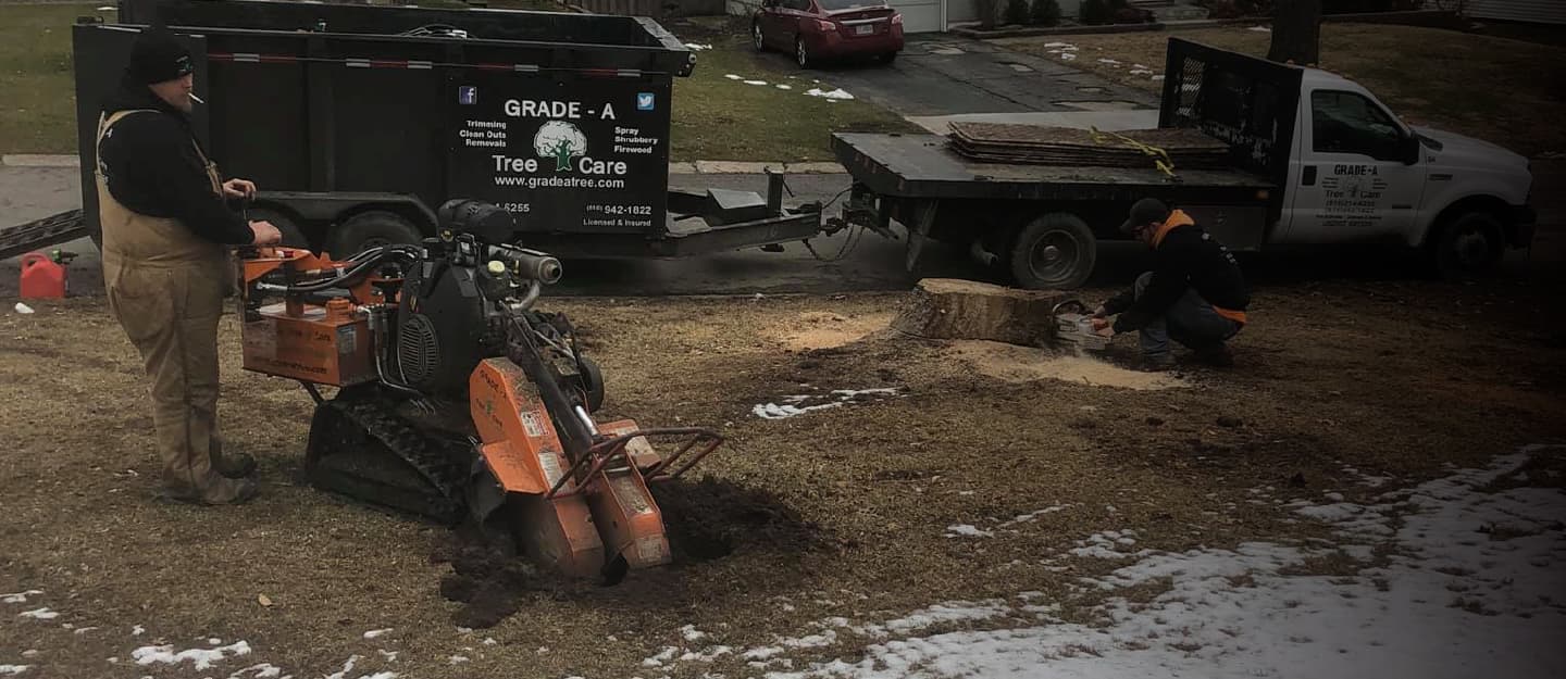 Stump Grinding & Removal