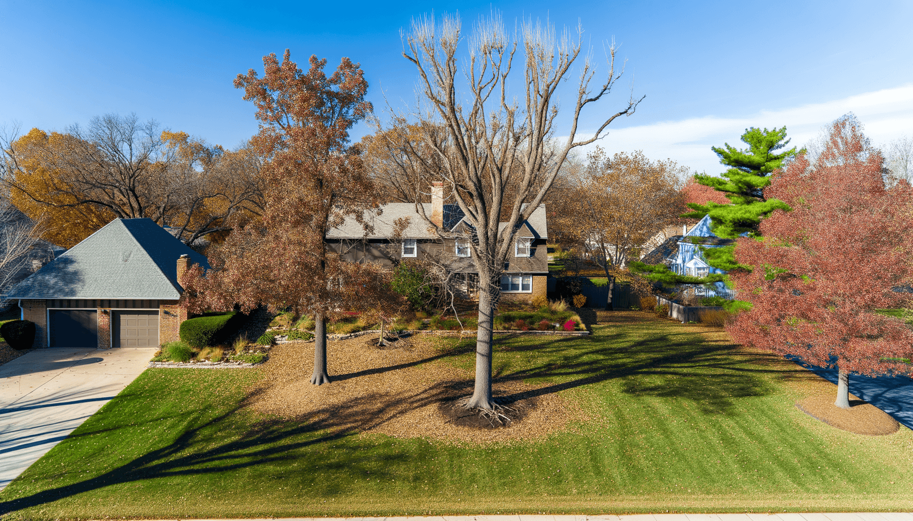 Avoid Common Fall Tree Hazards in Kansas City