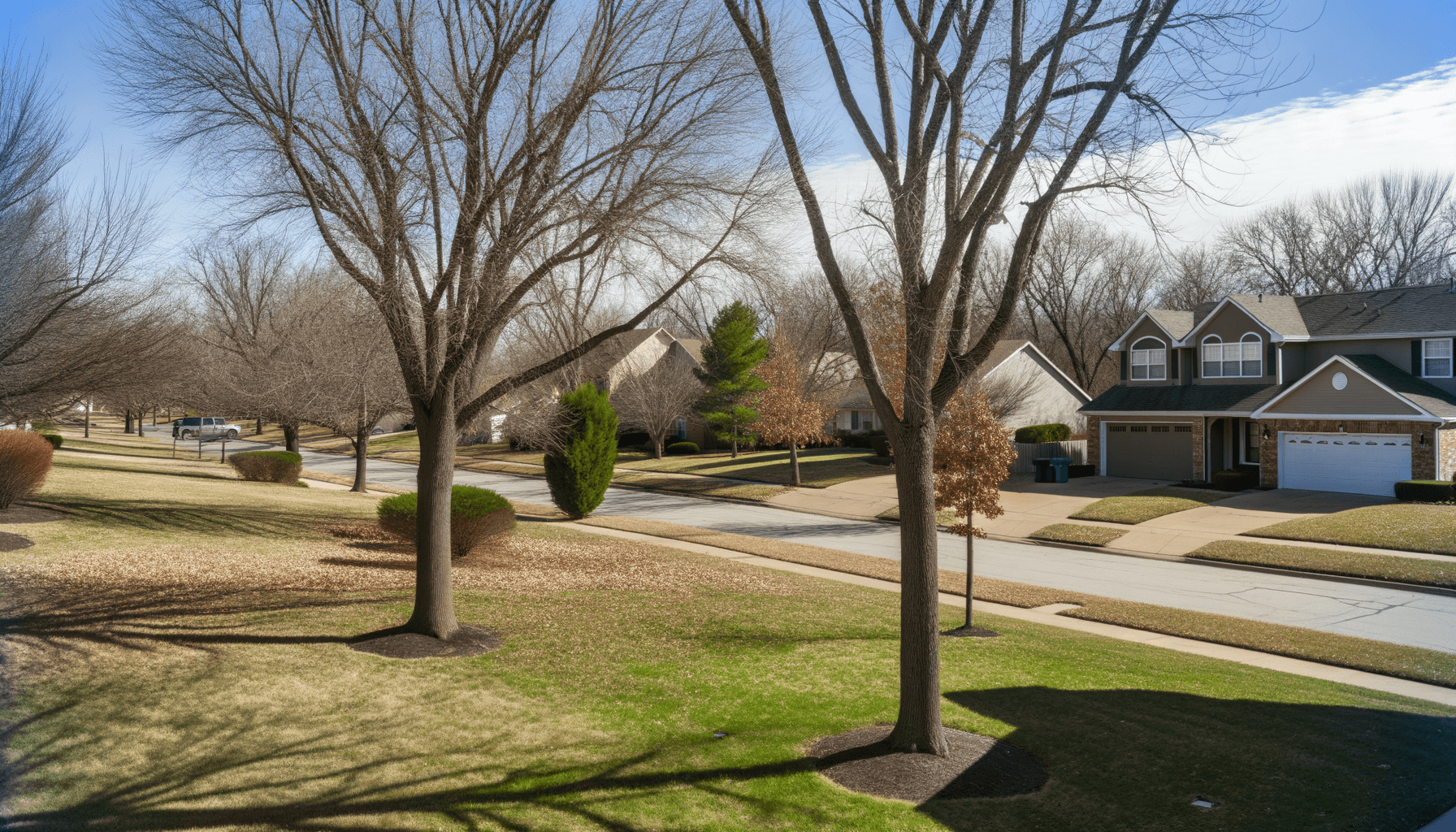 Seasonal Benefits of Tree Trimming in KC
