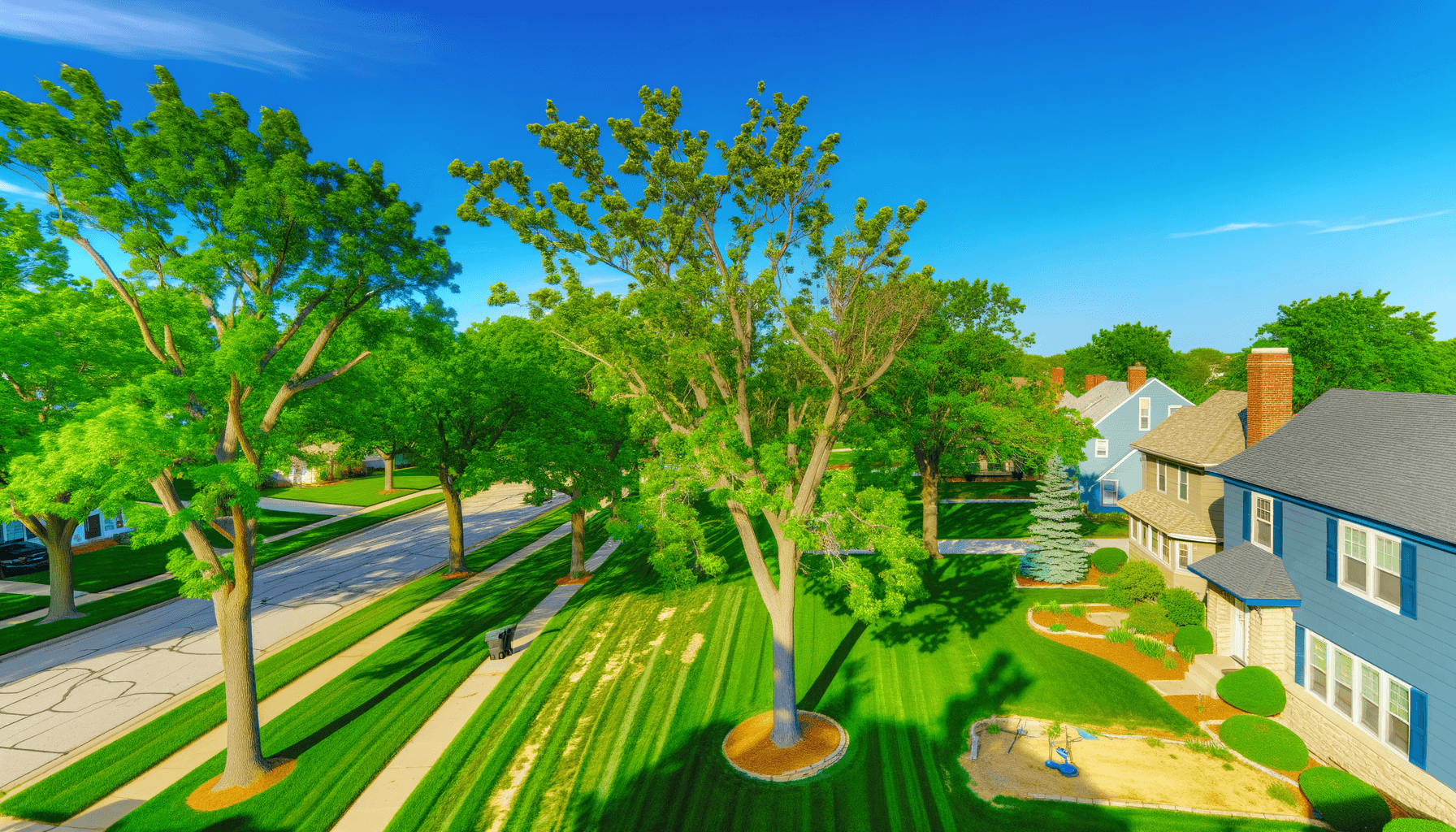 Tree Care Careers in Kansas City