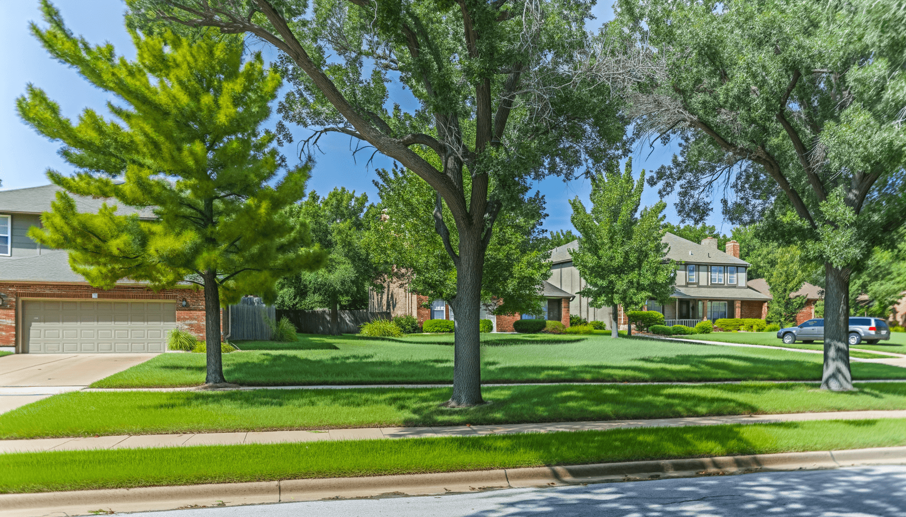 Tree Lightning Protection Tips for KC