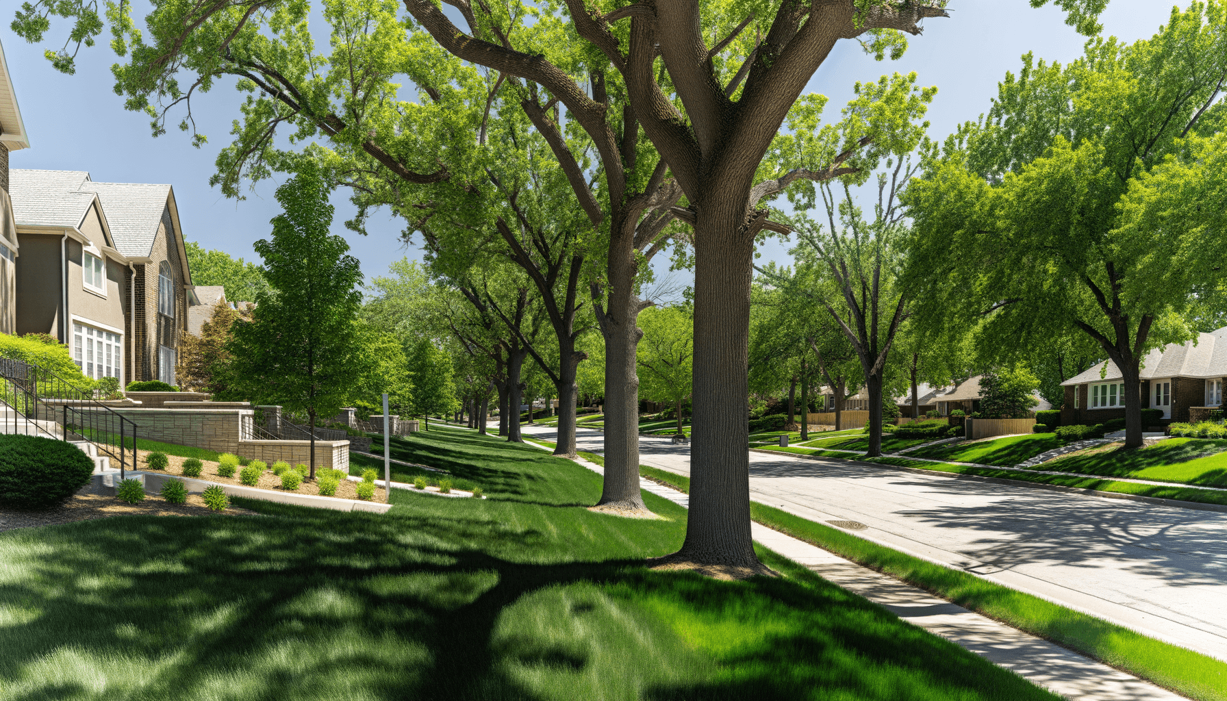 Urban Tree Sound Barriers in Kansas City