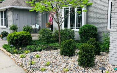 Benefits of Planting Trees in Your Yard