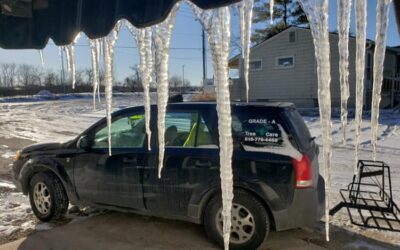 How to winterize your yard