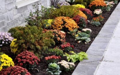 Fall lawn care guide