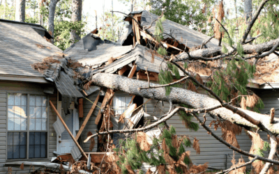 Reporting Tree Damage from Storms to Insurance: A Kansas City Homeowner’s Guide