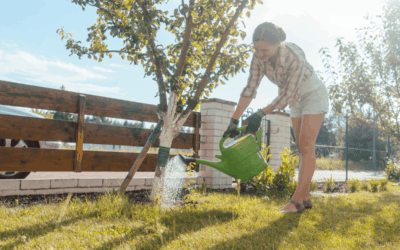 Watering Your Trees: Summer Tree Care Tips for Kansas City Homeowners