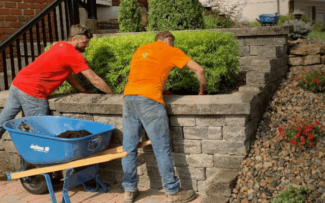 Why Fall Is the Perfect Time to Invest in Our Plant Health Care Program
