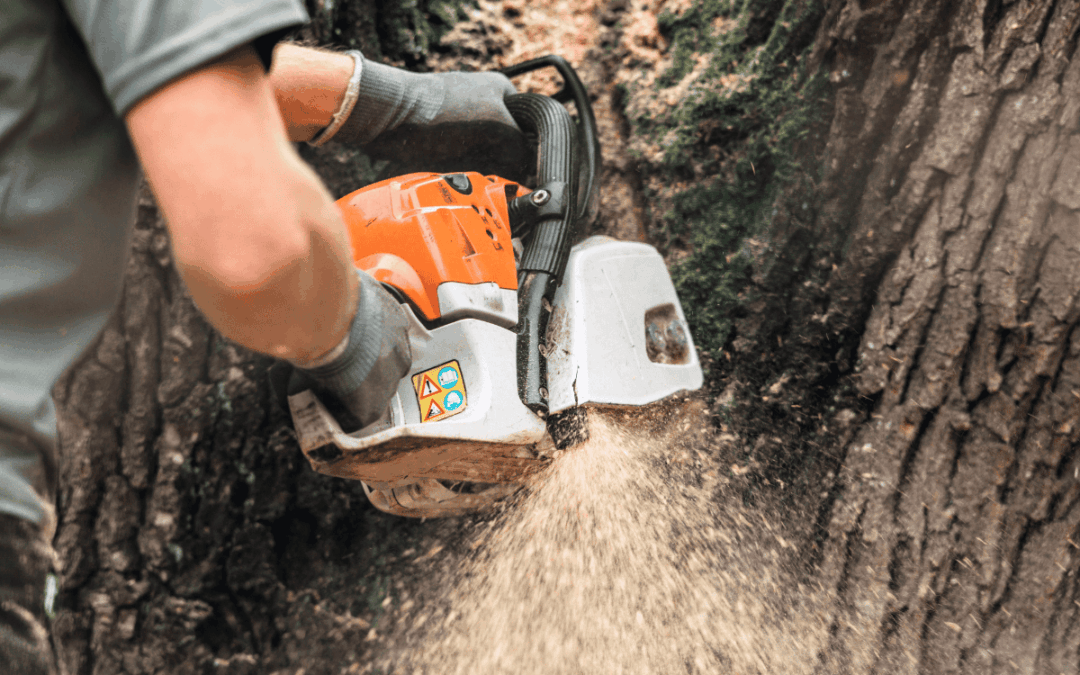 person wearing short sleeve shirt with gloves holding a chainsaw that is cutting through a tree