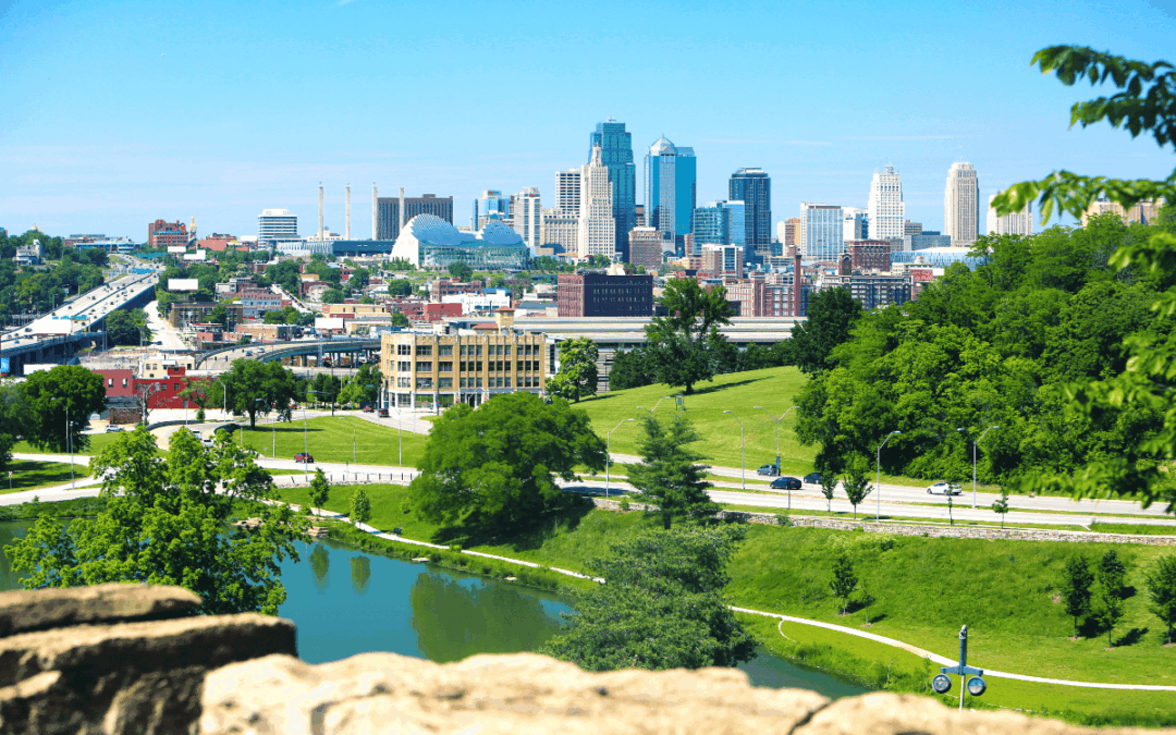 Best Trees to Plant in Kansas City for Beauty, Shade, and Long-Term Health